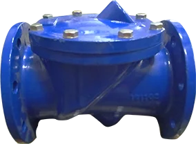 Check Valve