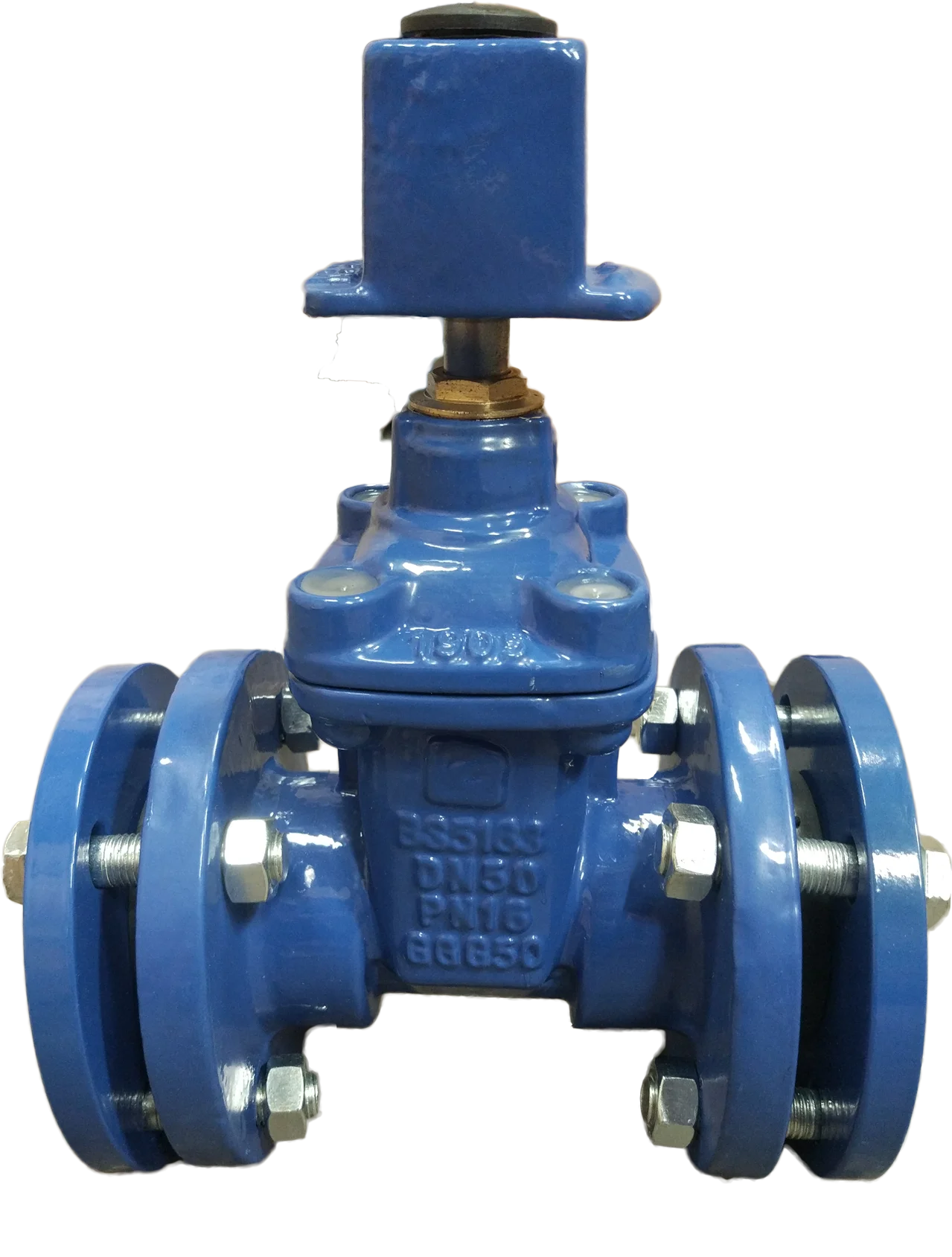 Gate Valve